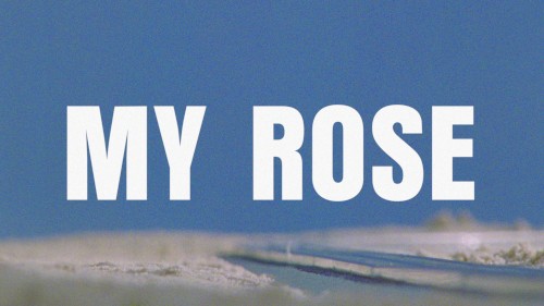 MY ROSE cover