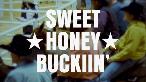 SWEET ★ HONEY ★ BUCKIIN’ cover