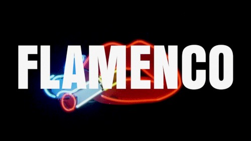 FLAMENCO cover